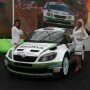 Skoda at Worthersee 2013