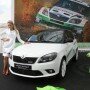 Skoda at Worthersee 2013