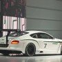 Bentley Continental GT3 live at Paris Motor Show 2012 Photos